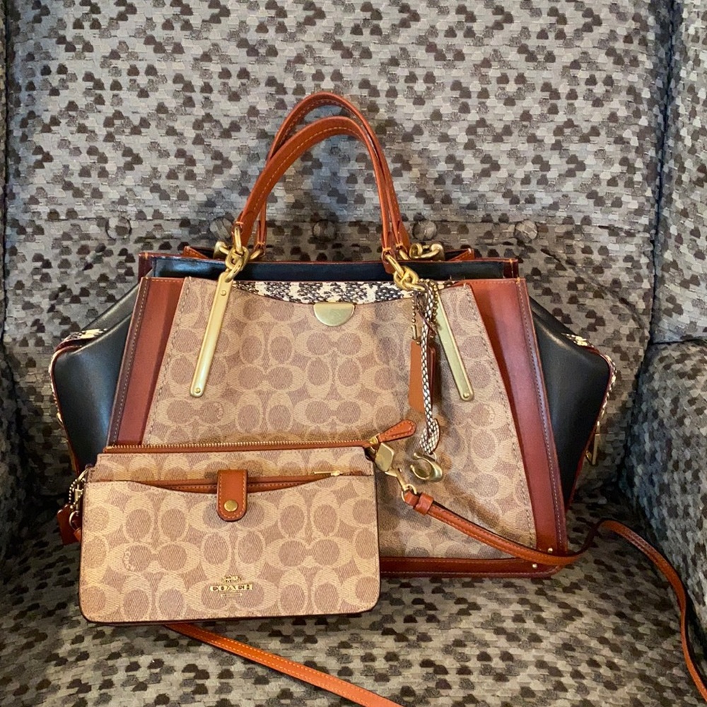 Coach Snakeskin Dreamer 36 & Coach Noa